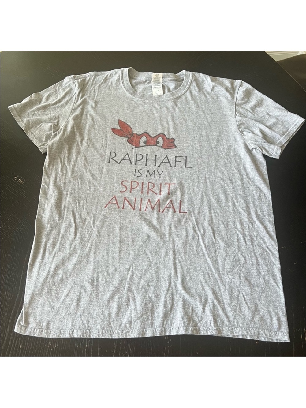 Ninja Turtles Raphael Gildan Softstyle Gray T-Shirt